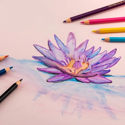 Miniatura 7 de Pentel Arts - Juego de lápices de acuarela, colores surtidos, paquete de 36 (CB9-36)