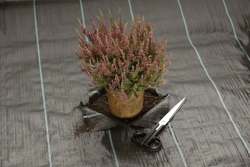 Miniatura 6 de GardenMate grapas para césped
