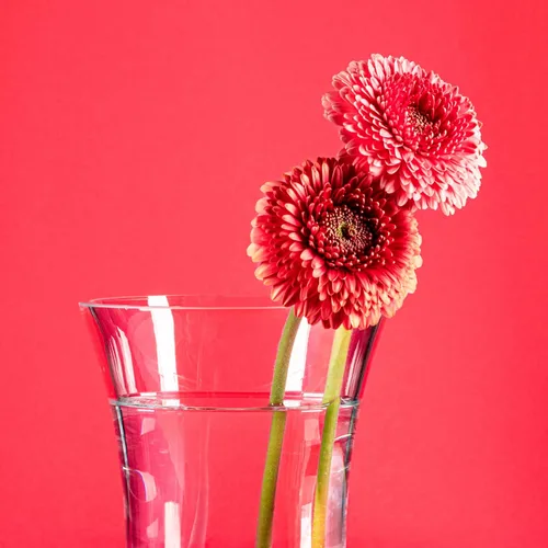 Miniatura 6 de VitaJuwel Flora - Florero (vidrio) con sodalita, ágata musgo cuarzo transparente añade vitalidad a las flores. Regalo único para el día de San
