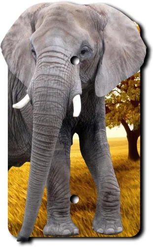 Miniatura 9 de Cubierta eléctrica acrílica decorativa de elefante - Salida única