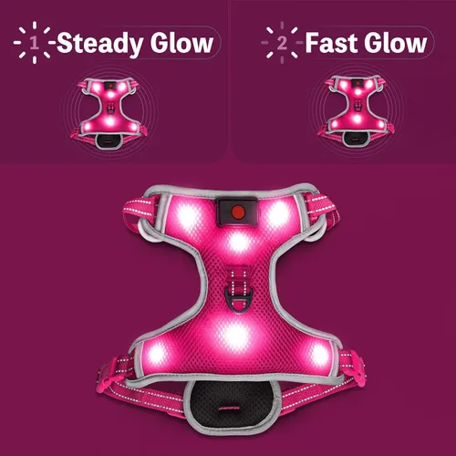 Miniatura 4 de Arnés para perro que brilla en la oscuridad recargable por USB (rosa, L)