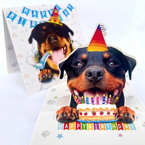 Miniatura 66 de Tarjeta de cumpleaños de perro Beagle 3D emergente – Felicitación de feliz cumpleaños para los amantes de los perros – Tarjeta desplegable