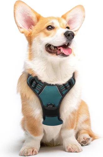 Miniatura 28 de Eagloo Arnés para perro pequeño, sin tirones, chaleco de servicio con tiras reflectantes y asa de control, ajustable y cómodo para caminar, arnés