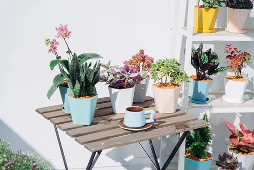 Miniatura 2 de Sun-E - Macetas para plantas de interior de 7.6/6.5/5.1 pulgadas, juego de 3 macetas para exteriores con agujeros de drenaje y platillos, idea