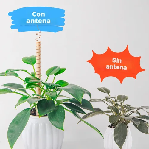 Miniatura 7 de Art3d Alambre de cobre suave puro calibre 18, 60 pies, 99.9% para electrocultura, jardinería, fabricación de joyas, cuentas, proyectos de ciencia