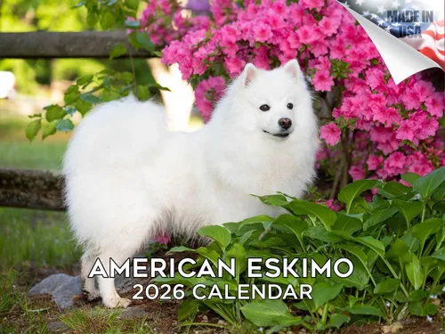 Miniatura 193 de Calendario 2025 2026 de cachorros Cocker Spaniel - Calendario mensual de pared de raza de perro - 12" x 24" abierto - Papel grueso sin sangrado