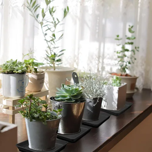 Miniatura 6 de 10 platillos cuadrados de plástico para plantas, maceta de 8 pulgadas, bandeja de goteo de plástico grueso para jardín, goteos de agua y tierra
