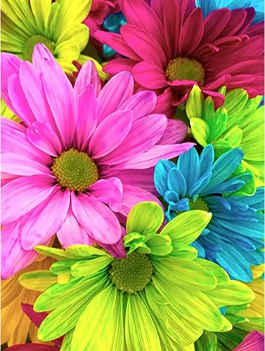 Kits de Pintura de Diamantes 5D para Adultos Flores, Arte de Diamante DIY Colorido Daisy Taladro Redondo Completo, Pintura de Gerbera Daisy con