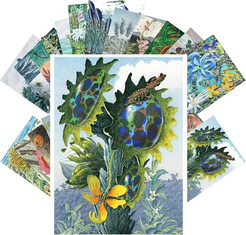 Miniatura 15 de PIXILUV Postales vintage (24 piezas de 4 x 6 pulgadas cada una) Increíbles y brillantes hongos psicodélicos mágicos, postales vintage, tarjetas