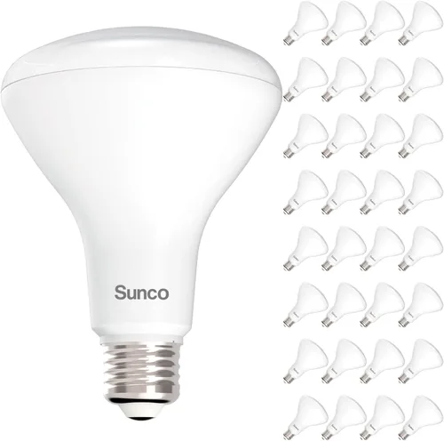 Sunco - Paquete de 32 bombillas LED BR30, bombillas empotradas, bombilla de inundación interior, 850 LM, 11 W (equivalente a 65 W), luz diurna de