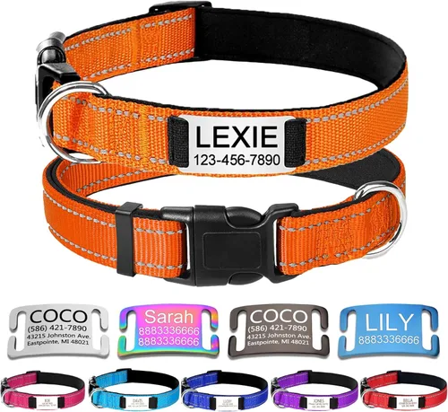 Miniatura 16 de Collares de perro personalizados, collar de perro con etiquetas de identificación de placa de nombre grabadas, collar de nailon ajustable Rosa