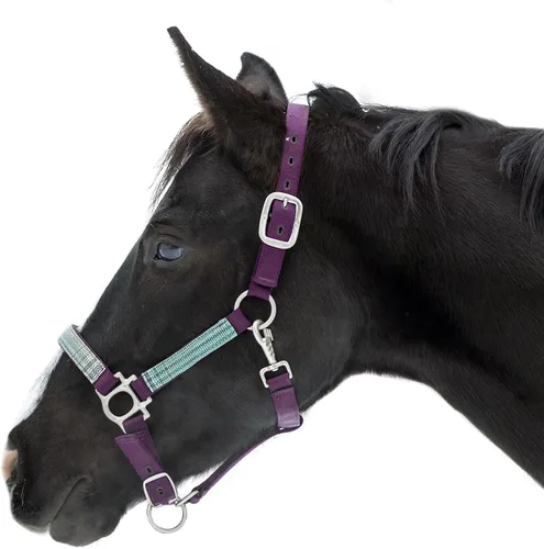 Kensington Premium Nylon Halter Tamaño: XL-Lrg. Color del caballo: 2019 - Imperial Jade 2-2019 - Imperial Jade