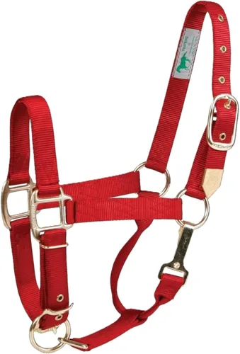 Miniatura 13 de Hamilton, Halter de 1 pulgada con barbilla ajustable, azul baya, 800-1100 libras