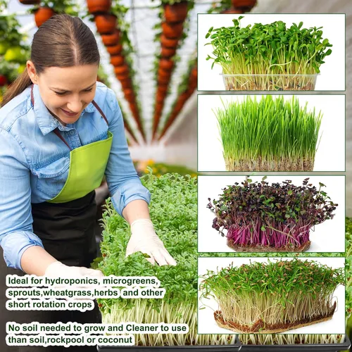 Miniatura 5 de Kit de 64 microverdes, almohadillas hidropónicas de germinación de 5 x 5 pulgadas, alfombrilla de cultivo microverde, producción orgánica