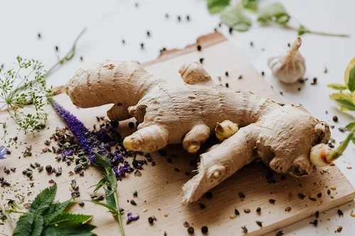 Miniatura 7 de Comienza la planta de raíz de jengibre culinaria fresca, ideal para comer fresco para sushi, cocinar, saludable y sabroso. Fácil de cultivar
