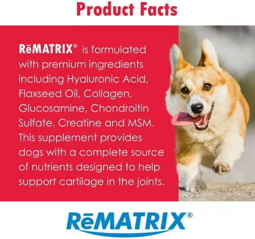 Miniatura 8 de ReMATRIX Suplemento de apoyo articular para perros, glucosamina, condroitina, MSM, omega-3, alivio del dolor de cadera y articulaciones y apoyo