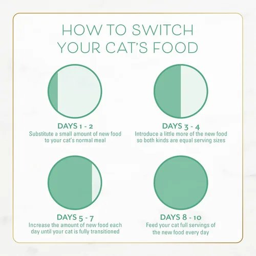 Miniatura 11 de Comida seca Purina Fancy Feast para gatos con pescado del océano y salmón - Bolsa de 3 libras