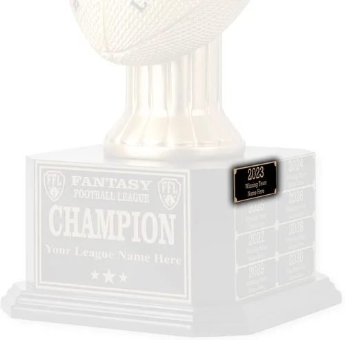Miniatura 2 de TrophySmack Placa ganadora – Placa de nombre grabada personalizable – Premio de campeón de trofeo de fútbol de fantasía (plata o negro)