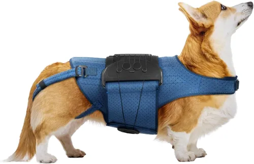 Miniatura 11 de Soporte de espalda para perro para IVDD, artritis, discos deslizados y herniados - Proporciona apoyo para la espalda y alivio del dolor, estabiliza