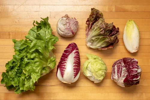 Miniatura 2 de Semillas Lechuga Vegetal Radicchio y Endive Mix - 700 Semillas