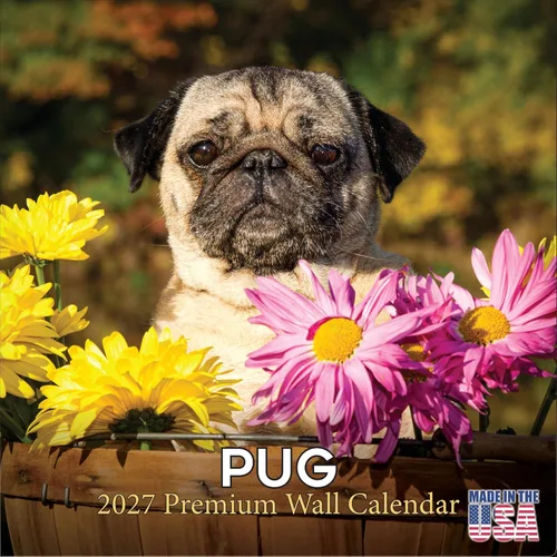 Miniatura 13 de Calendario amarillo 2025 2026 de Labrador Pups – Calendario mensual de pared de raza de perro – 12" x 24" abierto – Papel grueso anti-traspaso