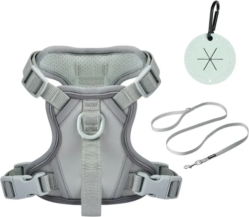 Miniatura 9 de Petmolico Arnés para perros pequeños, bonito arnés con dos clips para correa y mango suave, chaleco reflectante para cachorros fácil de caminar