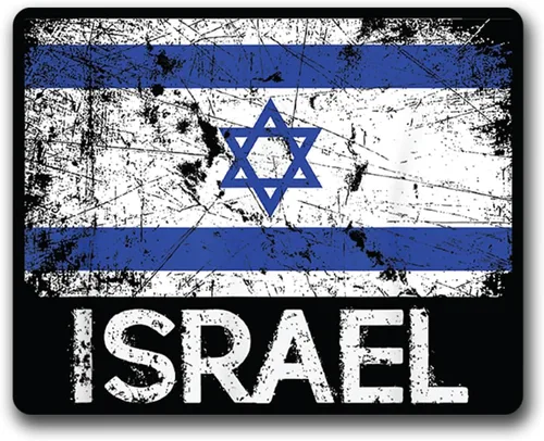 Miniatura 10 de Adhesivos de vinilo para defensores y aliados (Estados Unidos e Israel)