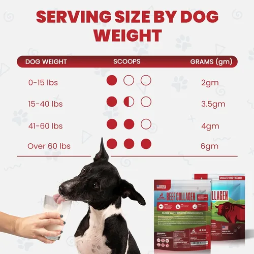 Miniatura 9 de Colágeno alimentado con pasto para perros, apoya la salud de la piel y el pelaje, la cadera, el cuidado de las articulaciones y el soporte