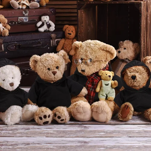 Miniatura 4 de 6 piezas de ropa de oso de peluche, camiseta de sublimación de oso de peluche, camisetas clásicas de oso de peluche, camisetas con capucha de 14 a