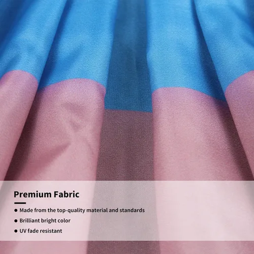Miniatura 3 de 4 unidades de bandera plisada de abanico de orgullo transgénero de 1.5 x 3 pies, decoración gay, suministros de fiesta, decoración de pared LGBTQ