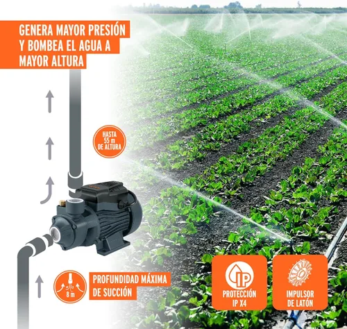 Miniatura 5 de Bomba periférica agua eléctrica 3/4 HP