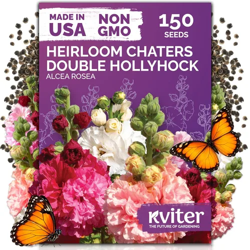 Miniatura 21 de KVITER 25 semillas de algodón blanco para plantar (Gossypium hirsutum) – Planta de algodón real, semillas de algodón para cultivo, semillas