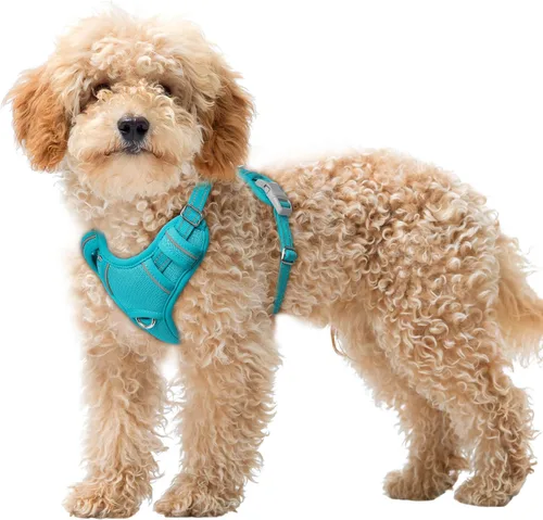 Miniatura 97 de BARKBAY Arnés para Perro Sin Tirones Talla Grande Arnés Reflectante para Perro con Clip Frontal y Asa de Control Fácil para Caminar Entrenar Correr