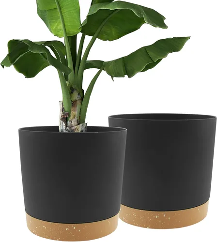 Miniatura 28 de QCQHDU Maceta de 8 pulgadas, paquete de 2 macetas para plantas de interior con agujeros de drenaje y platillo, macetas para exteriores, decoración