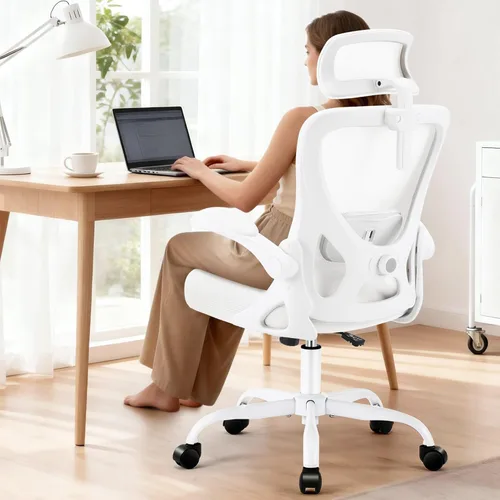 AreShark Silla de oficina – Silla de escritorio ergonómica de malla transpirable con reposacabezas 2D y soporte lumbar ajustable – Silla ejecutiva