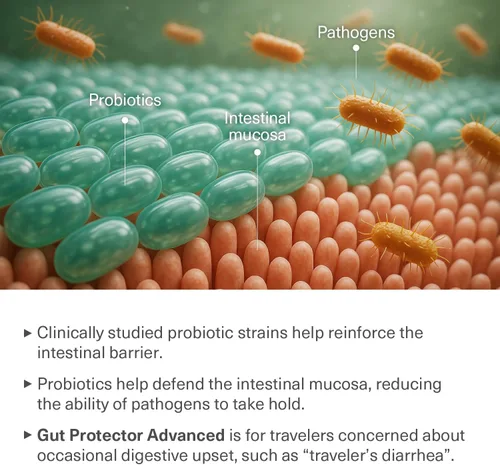 Miniatura 11 de Probióticos de viaje para la salud digestiva, apoyo inmunológico y diarrea ocasional del viajero Probióticos para la salud intestinal Suplemento