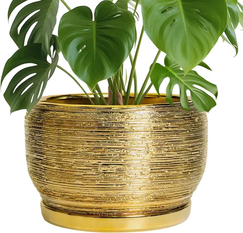 Miniatura 66 de SQOWL Macetas de cerámica – Maceta de 6 pulgadas con orificio de drenaje y bandeja, maceta redonda para plantas de interior, maceta decorativa