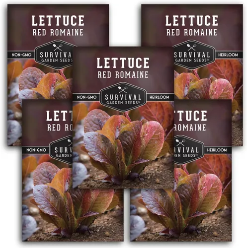 Miniatura 12 de Semilla de lechuga romana roja para plantar, 1 paquete con instrucciones para plantar y cultivar lechuga de hoja roja en tu huerto, variedad