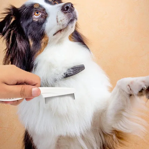 Miniatura 7 de Paquete de 2 peines multifuncionales para mascotas, cepillo de aseo para mascotas, eliminación de manchas de lágrimas mágicas finas, kit de peine