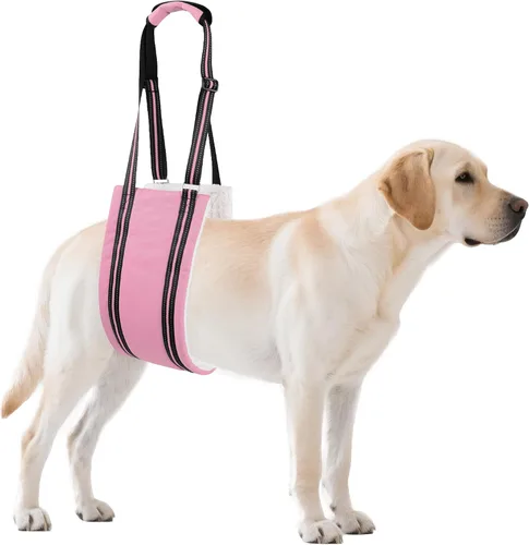 Miniatura 12 de AIITLE Eslingas mejoradas para perros pequeños – Arnés de soporte para patas traseras y cadera, ayuda de elevación de rehabilitación súper suave