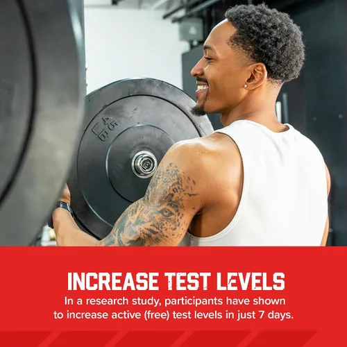 Miniatura 6 de Six Star Nutrition - Potenciador de testosterona para hombres con extracto de Rhodiola y citrato de boro - Suplementos de entrenamiento para hombres