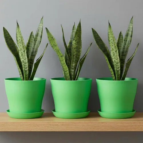 Miniatura 7 de Paquete de 20 macetas de plástico de 5.5 pulgadas con platillos, macetas decorativas modernas para flores, macetas decorativas de jardinería