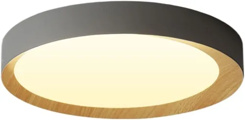 Miniatura 9 de Lámpara de techo LED de atenuación continua con control remoto regulable lámpara de techo LED creativa simple luz plana moderna accesorio de montaje
