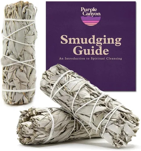 Miniatura 13 de Paquete de salvia blanca - 1 paquete - Palo de manchas de salvia para limpieza del hogar, incienso curativo, meditación y rituales de palitos