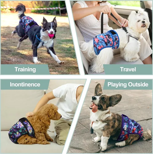 Miniatura 54 de Pañales lavables para perros, para hembras caninas, reutilizables, para periodo de celo, altamente absorbentes, para incontinencia, con broches