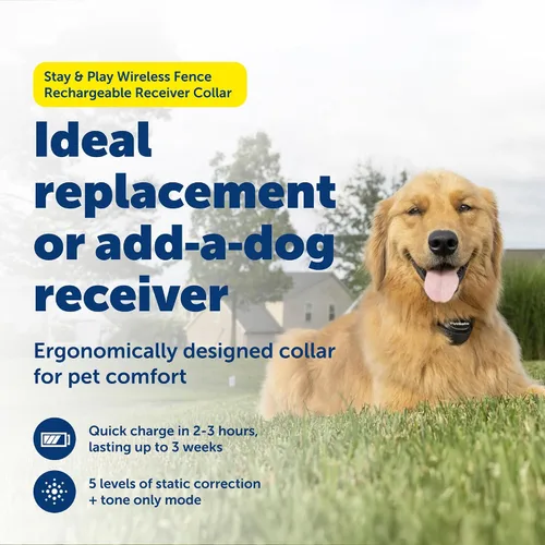 Miniatura 2 de PetSafe Stay & Play - Valla inalámbrica compacta para mascotas para perros y gatos, collar receptor impermeable y recargable, cubre hasta 3/4 acres