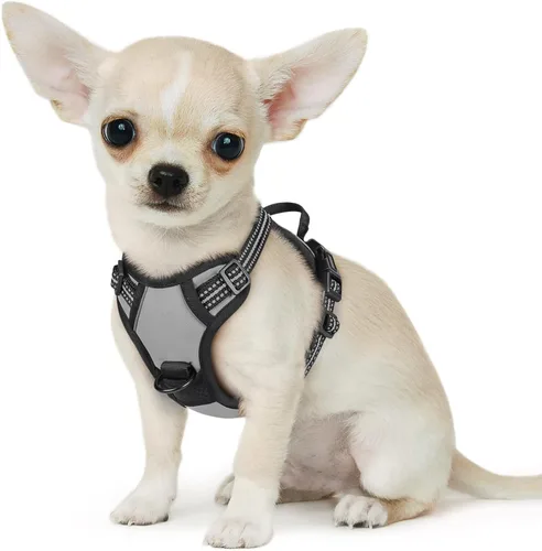 Miniatura 58 de Eagloo Arnés para perro pequeño, sin tirones, chaleco de servicio con tiras reflectantes y asa de control, ajustable y cómodo para caminar, arnés