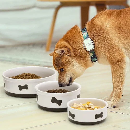 Miniatura 4 de Sweejar Cuencos de cerámica para perros con patrón de huesos, plato de comida para perros medianos, cuenco de porcelana para agua de 35 onzas azul