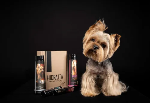 Miniatura 2 de Kit de champú hidratante prémium para perros y gatos + máscara – Henna y aceites naturales para un pelaje brillante y sin enredos – Juego de 12.5 oz
