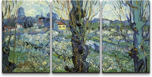 Miniatura 138 de Lienzo decorativo para pared - cuadro con estampado Giclée para decoración del hogar Noche estrellada sobre el Ródano
